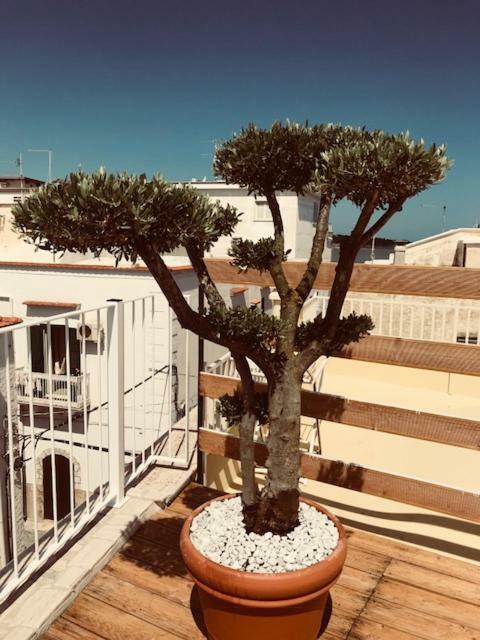 La Casa Al Borgo Apartment Vieste Exterior photo